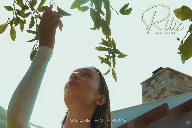 كمبوند ريتز زايد الجديدة أرقى للتطوير العقاري – Ritz New Zayed Compound