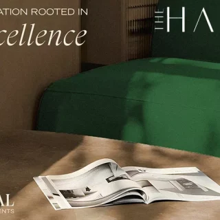 The Harv Compound Sheikh Zayed Dal Developments