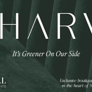 The Harv Compound Sheikh Zayed Dal Developments